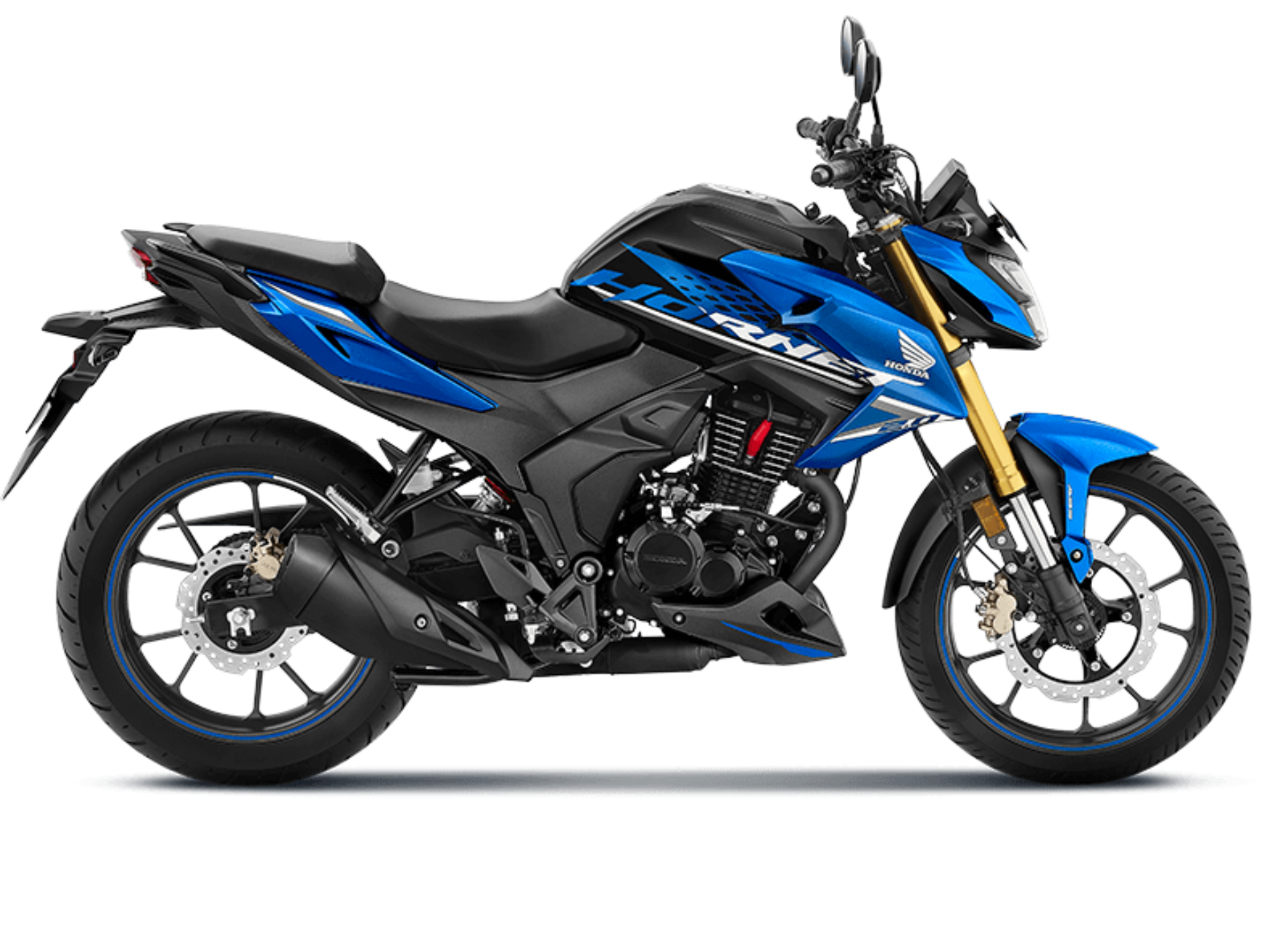 HORNET 2.0 - Image 2